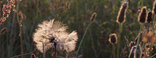 2_48045455337_o_51303367315_o