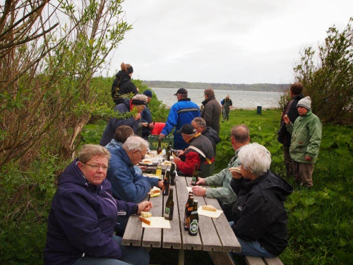 51302349366_8104edaccb_o